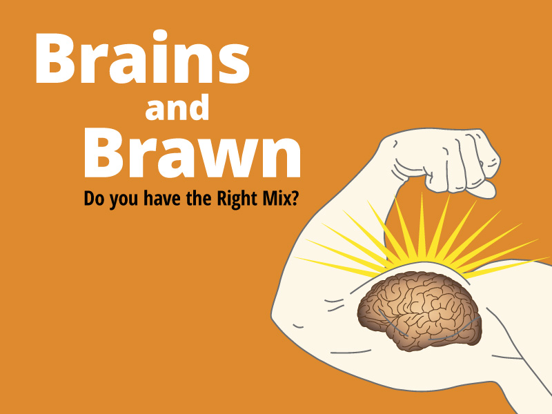 Business Development Strategy: Do you have the Right Mix of Brains and Brawn?   